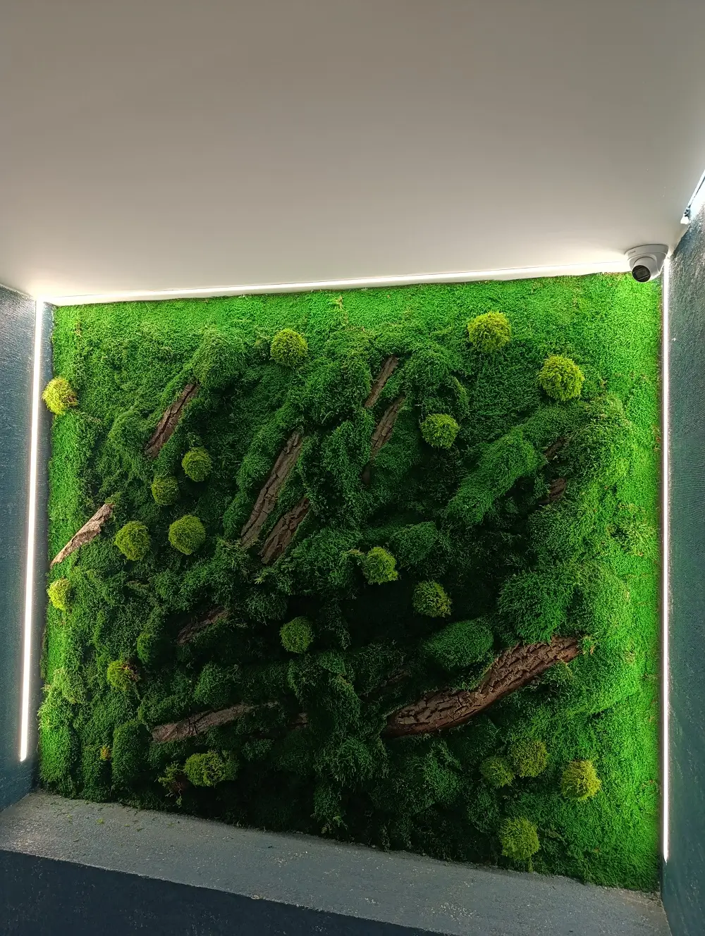 پروژه ماس وال رستوران سیب مهرشهر کرج