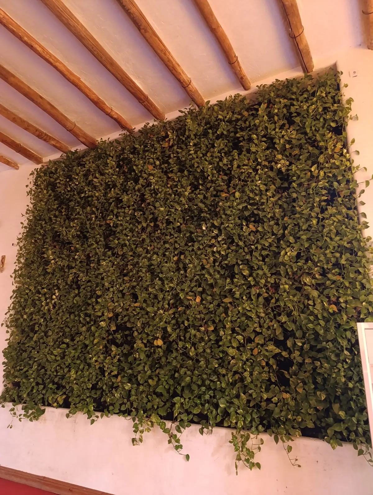 پروژه حسینیه عبدالرضا هلالی