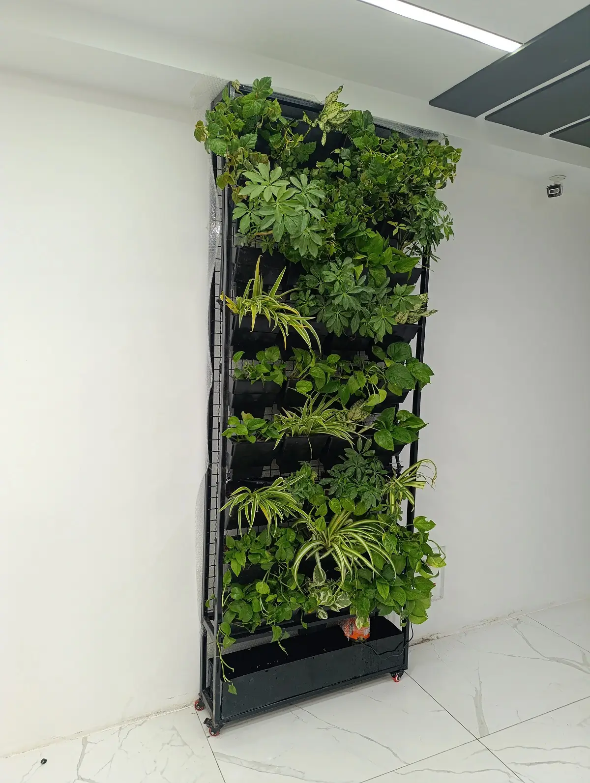 پروژه هفت تیر دیوار سبز متحرک طبیعی