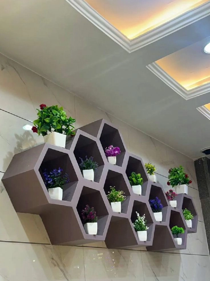 انواع گل های اپارتمانی