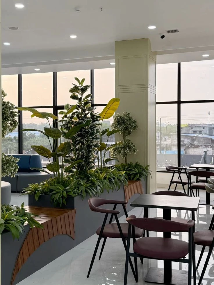 گل های آپارتمانی در مکان های خاص