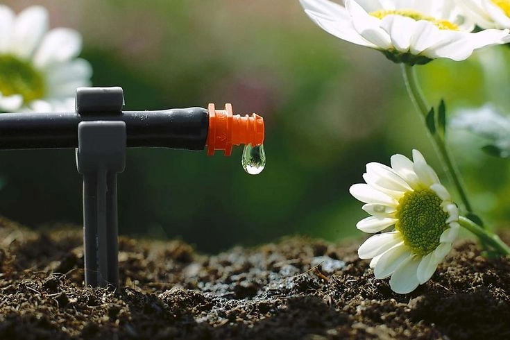 آبیاری قطره ای