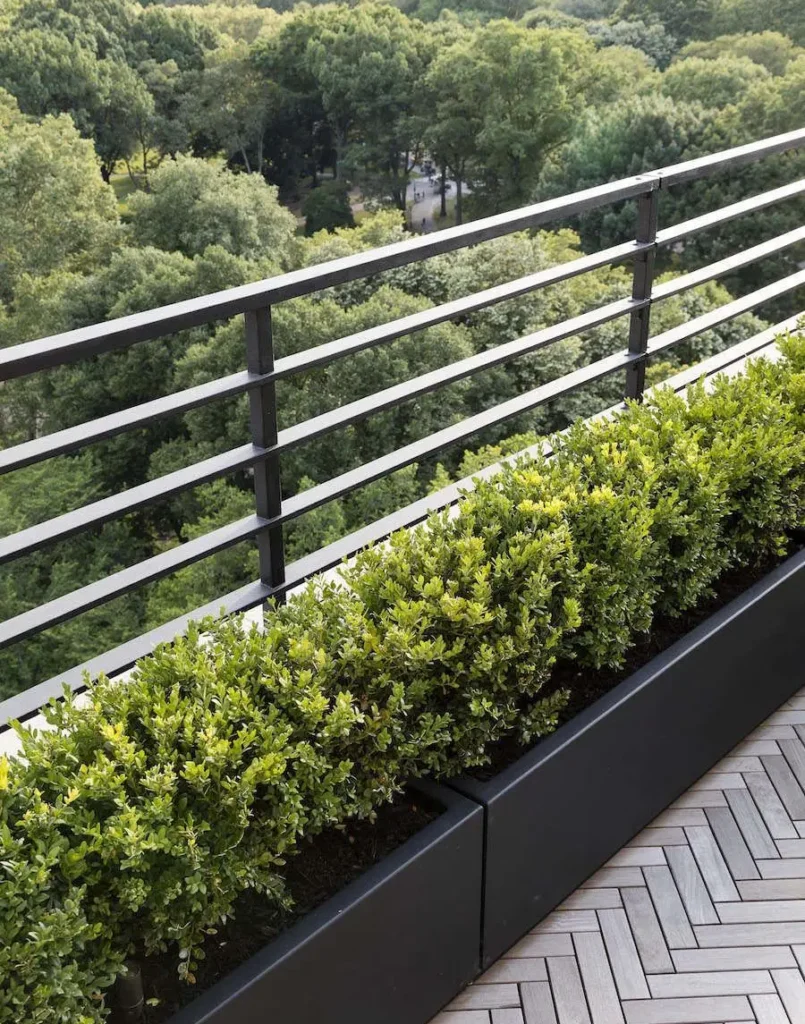 فلاورباکس بتنی