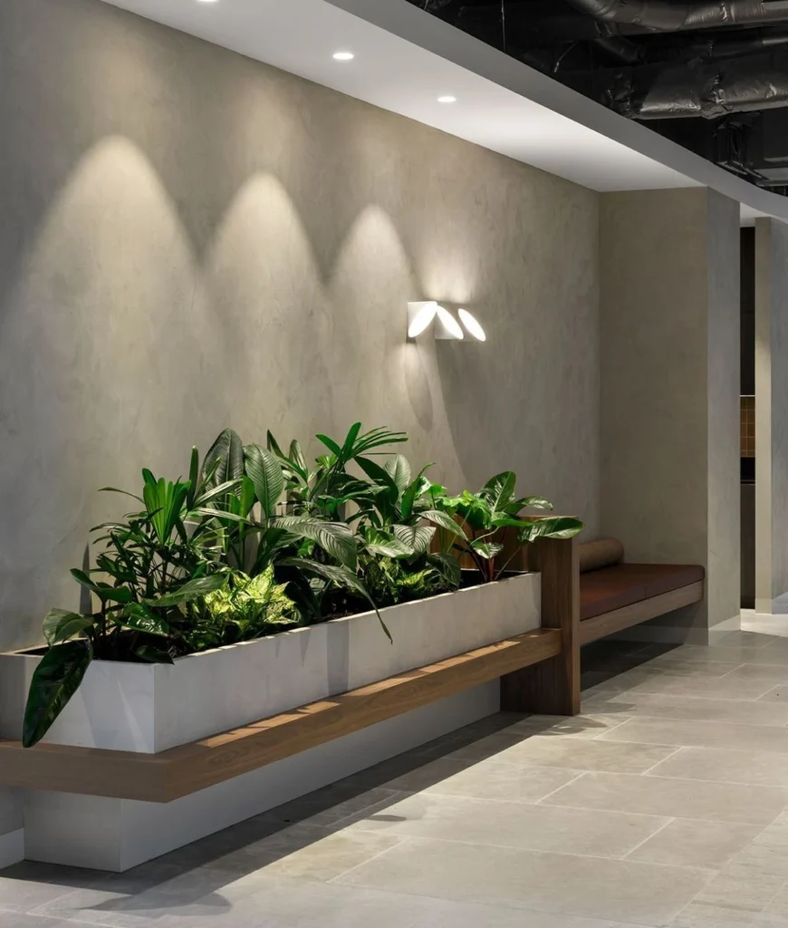 فلاورباکس بتنی