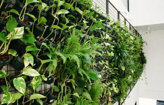 دیوار سبز طبیعی 1405| راهنمای جامع