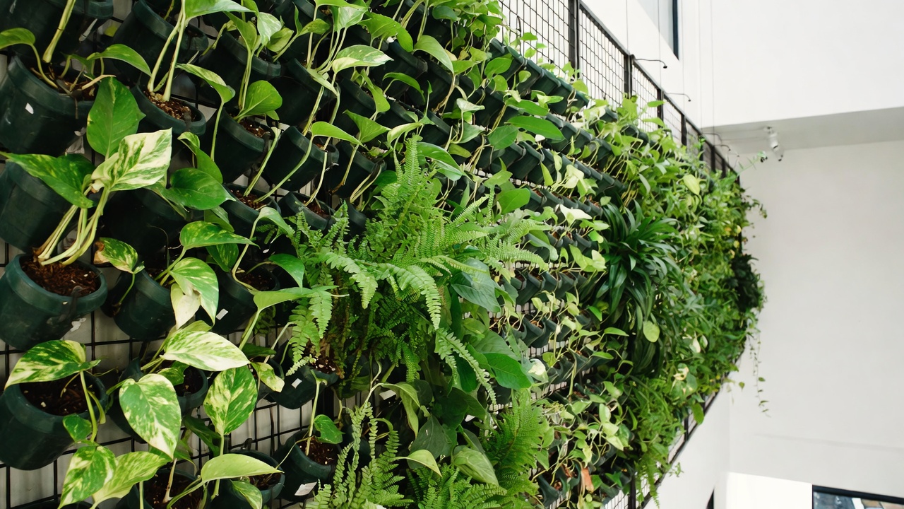 دیوار سبز طبیعی 1405| راهنمای جامع